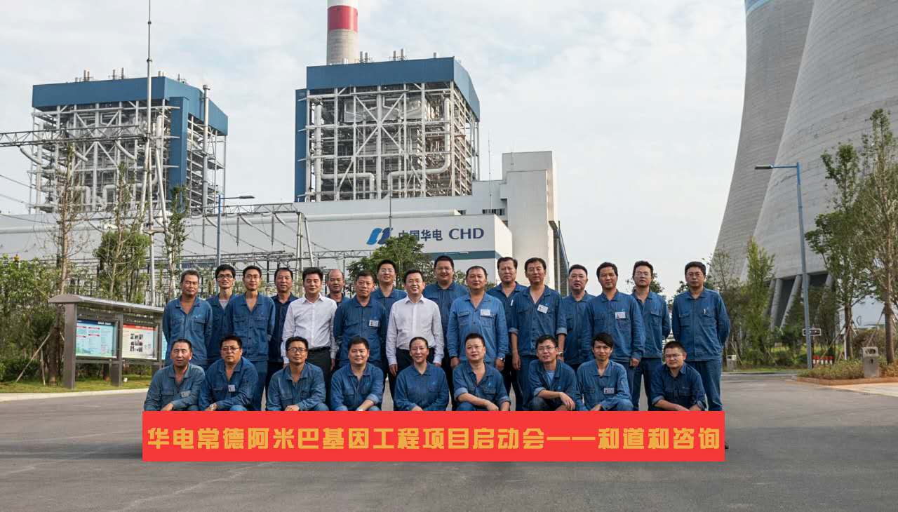 中国华电长沙公司阿米巴经营实例——利润同比增加6361万元，增长率为31.29%。