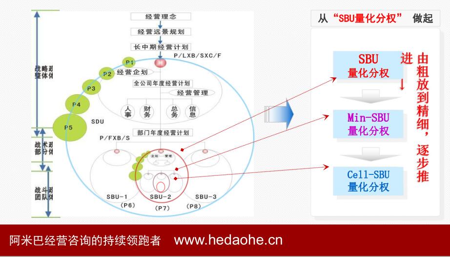 如何构建阿米巴组织架构--阿米巴组织架构图